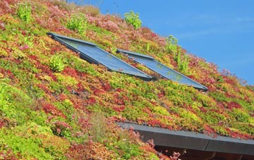 Thrumster living roof systems
