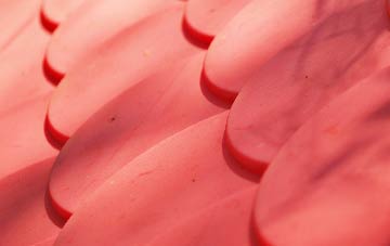 Thrumster plastic roof costs