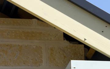 soffit repair Thrumster