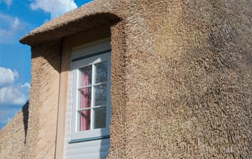 Thrumster thatch roof disadvantages