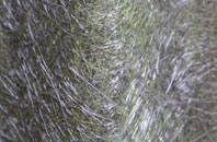 Thrumster fibreglass roof work